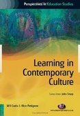 Learning in contemporary culture
